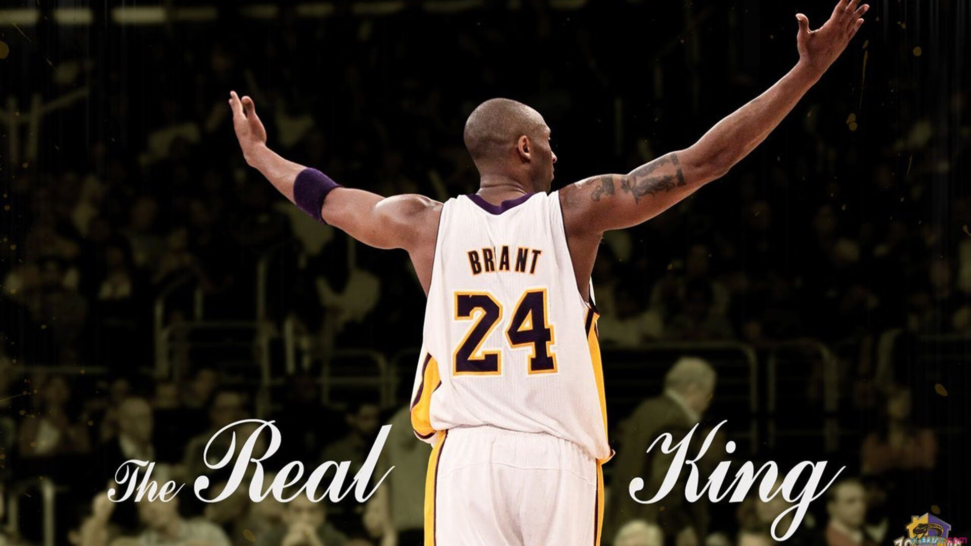 约基奇家族故事登上HBO纪录片,展现欧洲篮球血统,约基奇采访视频