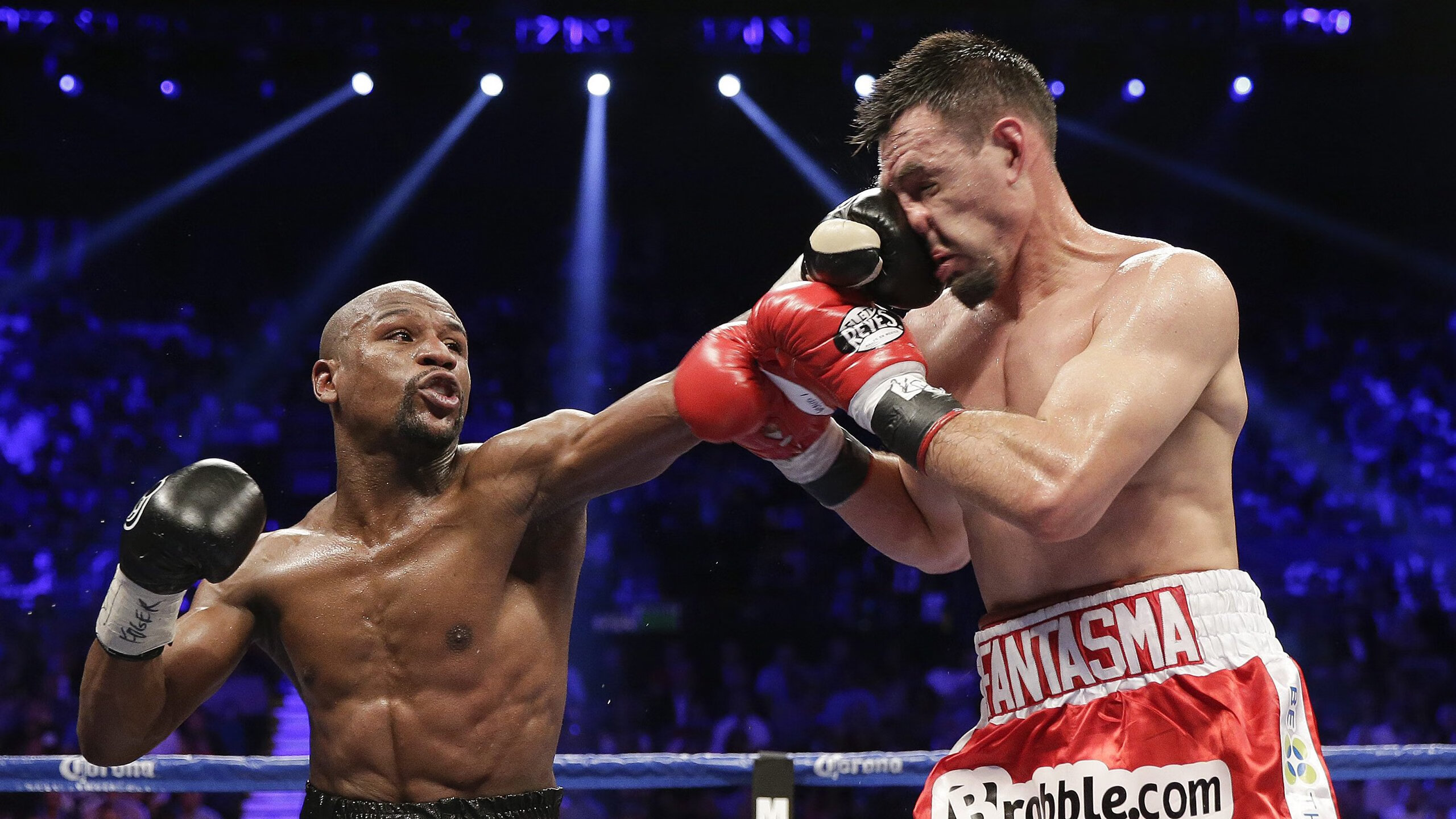 悉尼国王防守端表现稳固，悉尼国王队名单