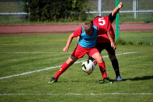 星空体育官方入口-中国足球俱乐部与国际学校合作开展足球课程，国内足球培训基地